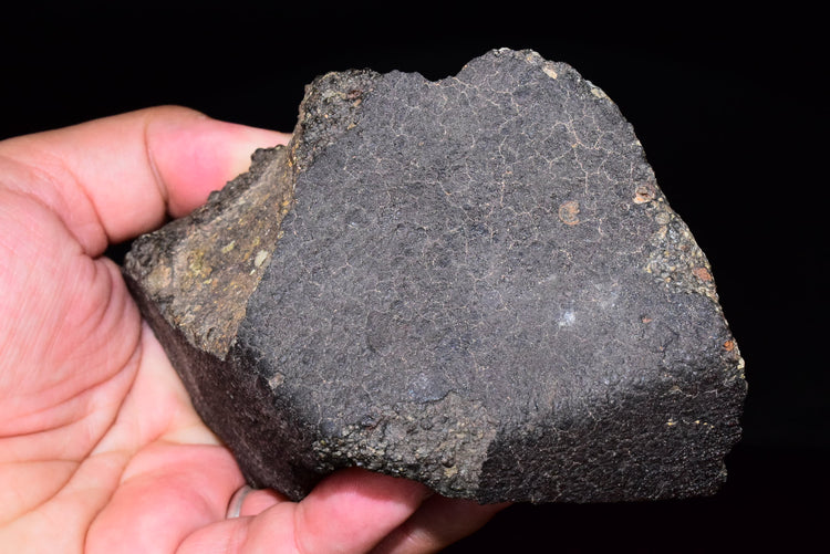 NWA 14004 CV3 MeteoriteNwa.com