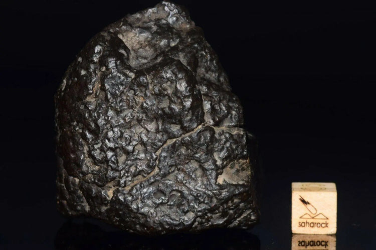 NWA 11754 Ureilite - Saharock.com