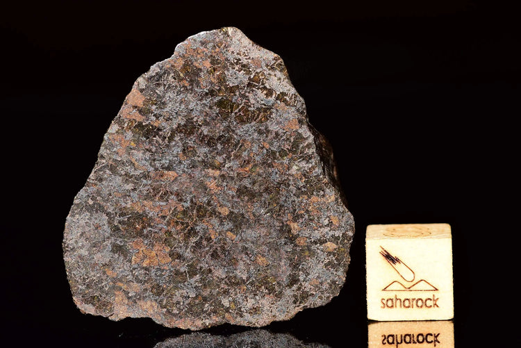 NWA 11755 Ureilite - Saharock.com