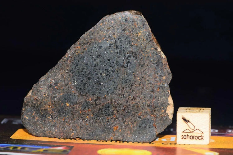 NWA 11756 Brachinite - Saharock.com