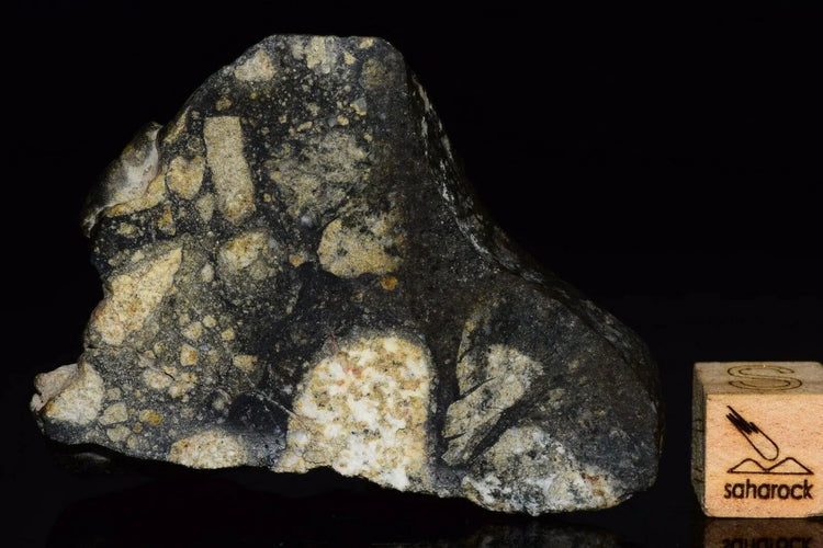 NWA 12342 Eucrite Melt Breccia - Saharock.com