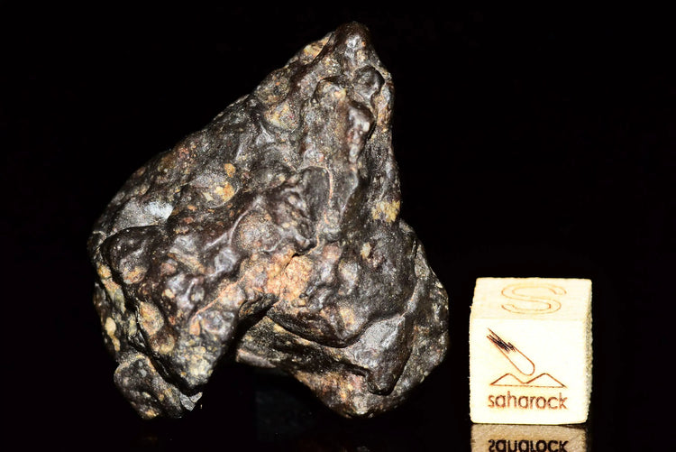 NWA 12344 Eucrite Polymict - Saharock.com