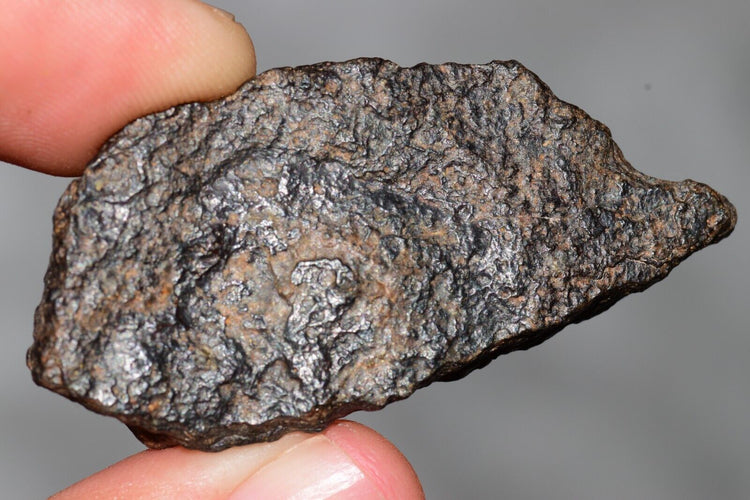 NWA 14867 Mesosiderite MeteoriteNwa.com