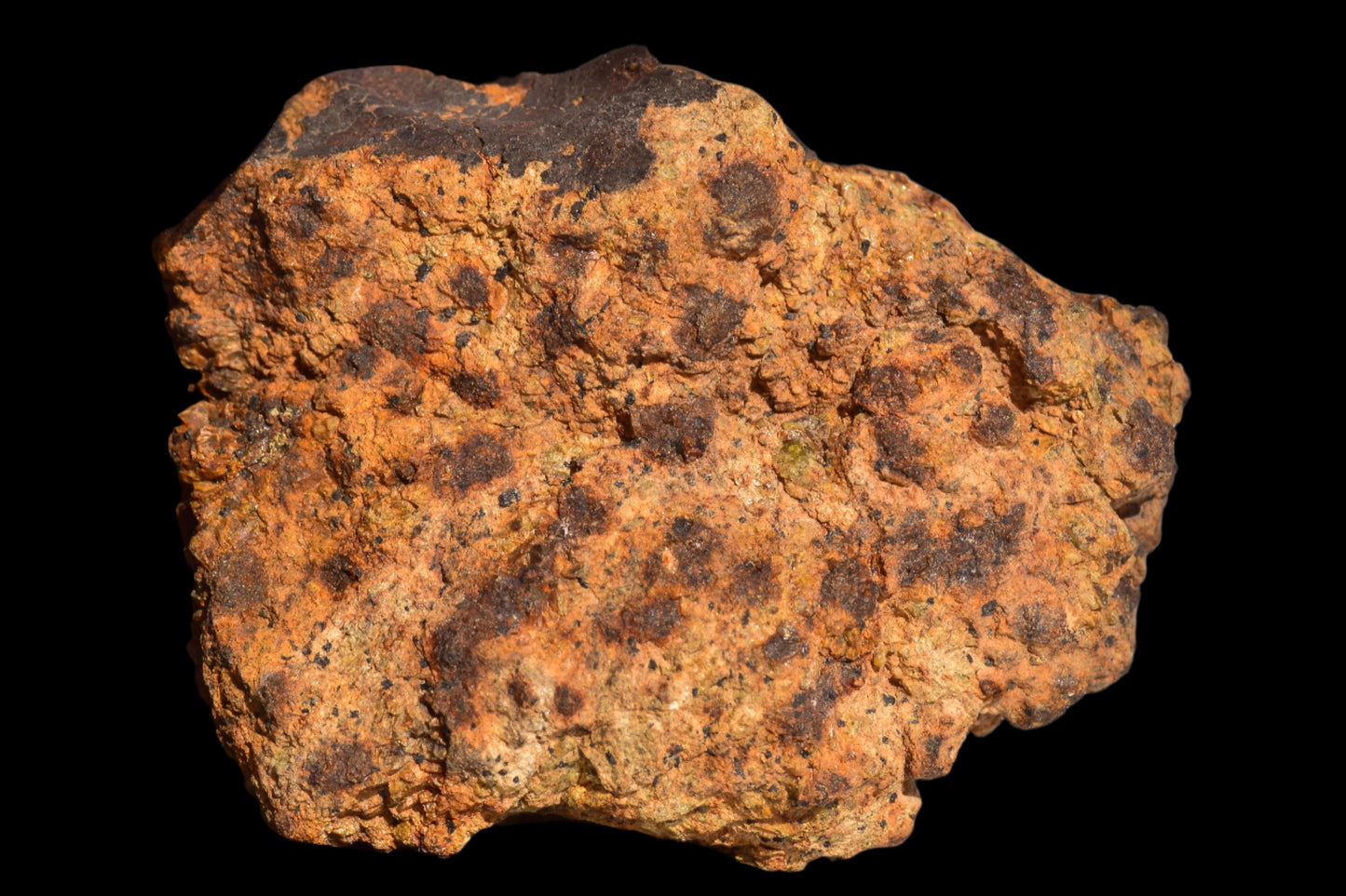 Meteorite for Sale : Diogenite NWA 13692
