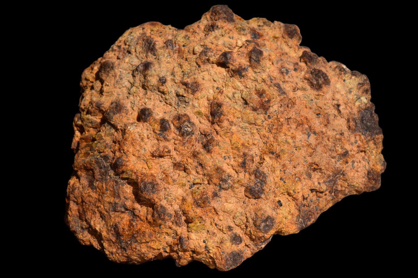 Meteorite for Sale : Diogenite NWA 13692