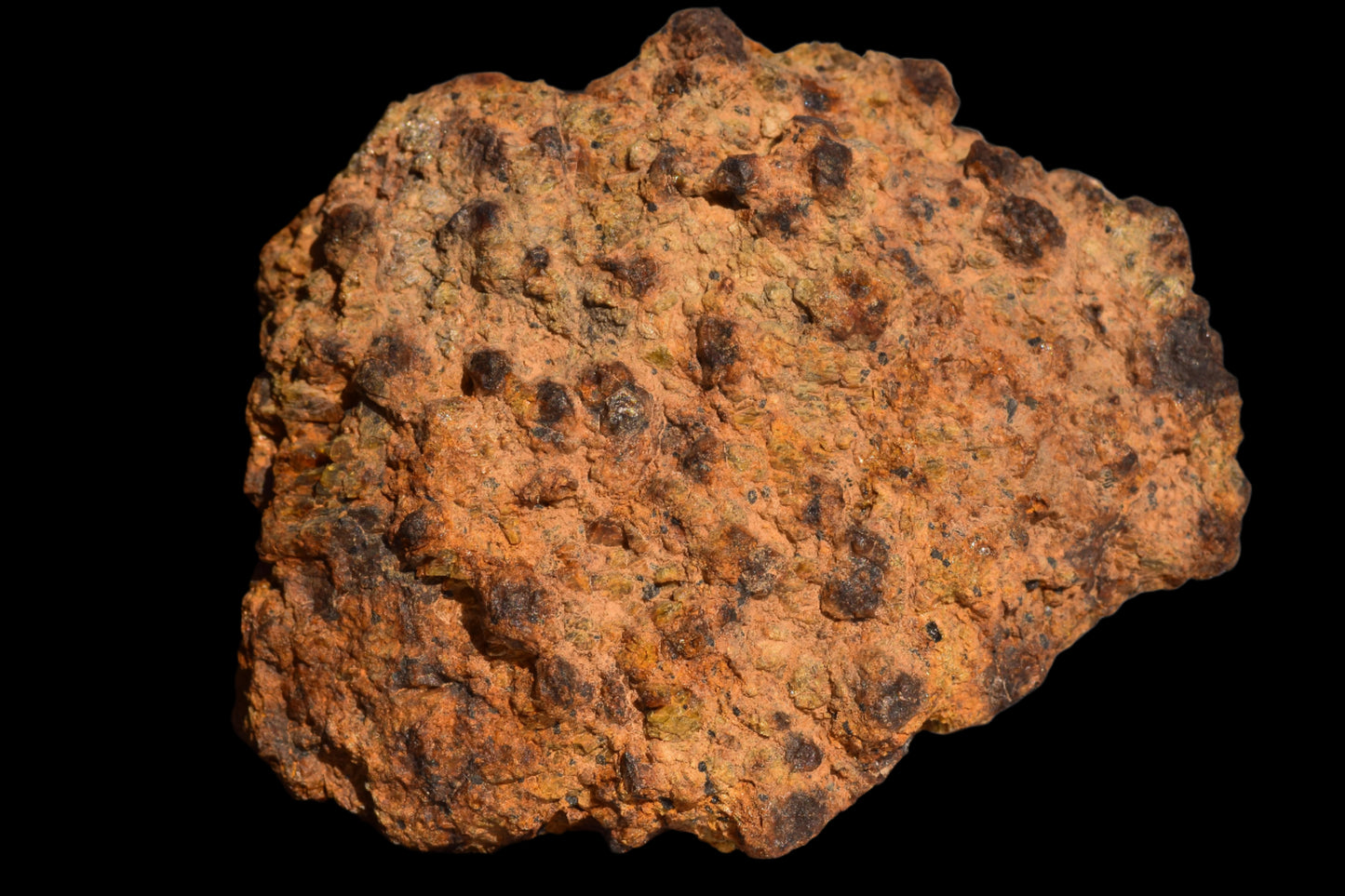 Meteorite for Sale : Diogenite NWA 13692