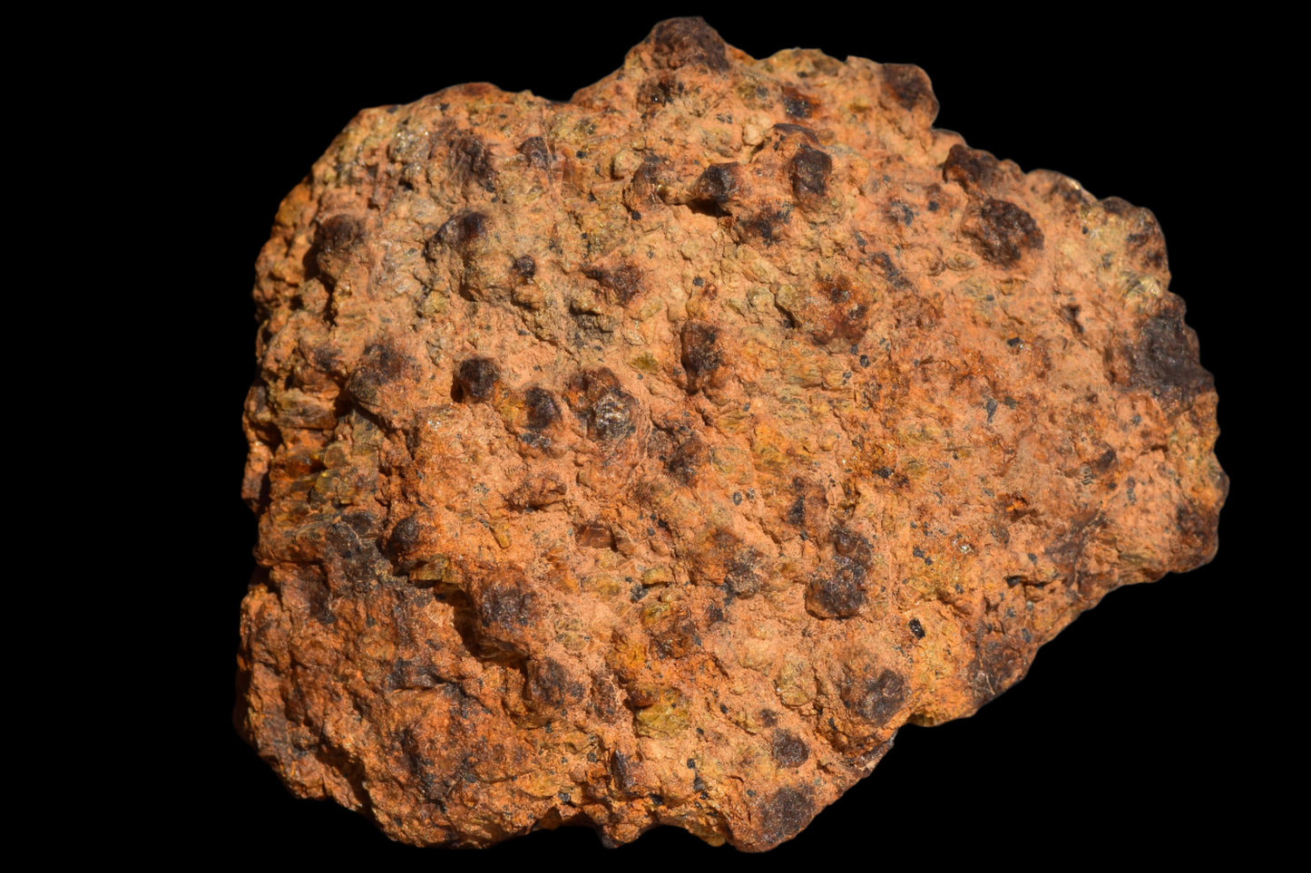 Meteorite for Sale : Diogenite NWA 13692