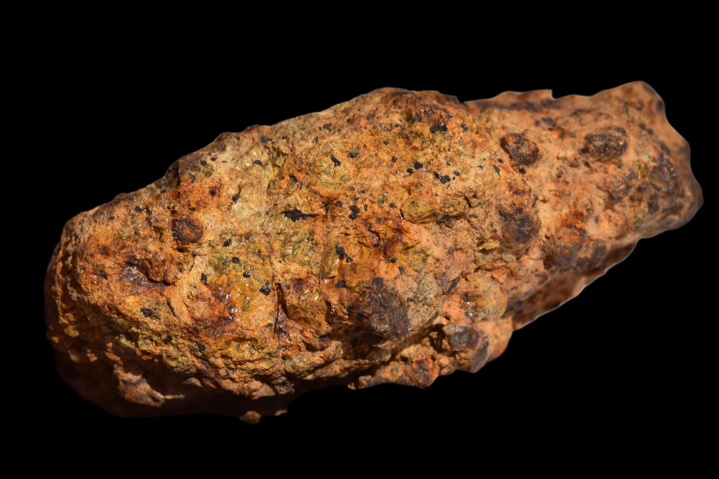 Meteorite for Sale : Diogenite NWA 13692