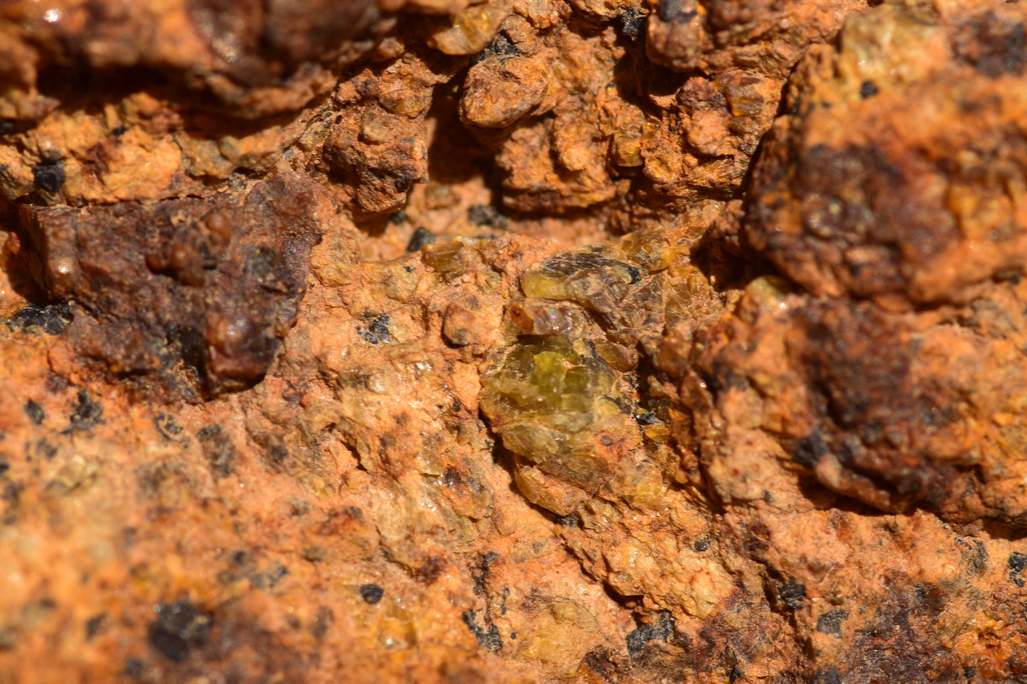 Meteorite for Sale : Diogenite NWA 13692