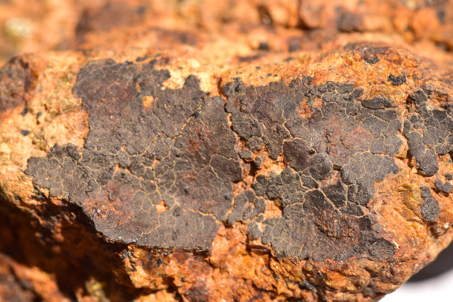 Meteorite for Sale : Diogenite NWA 13692