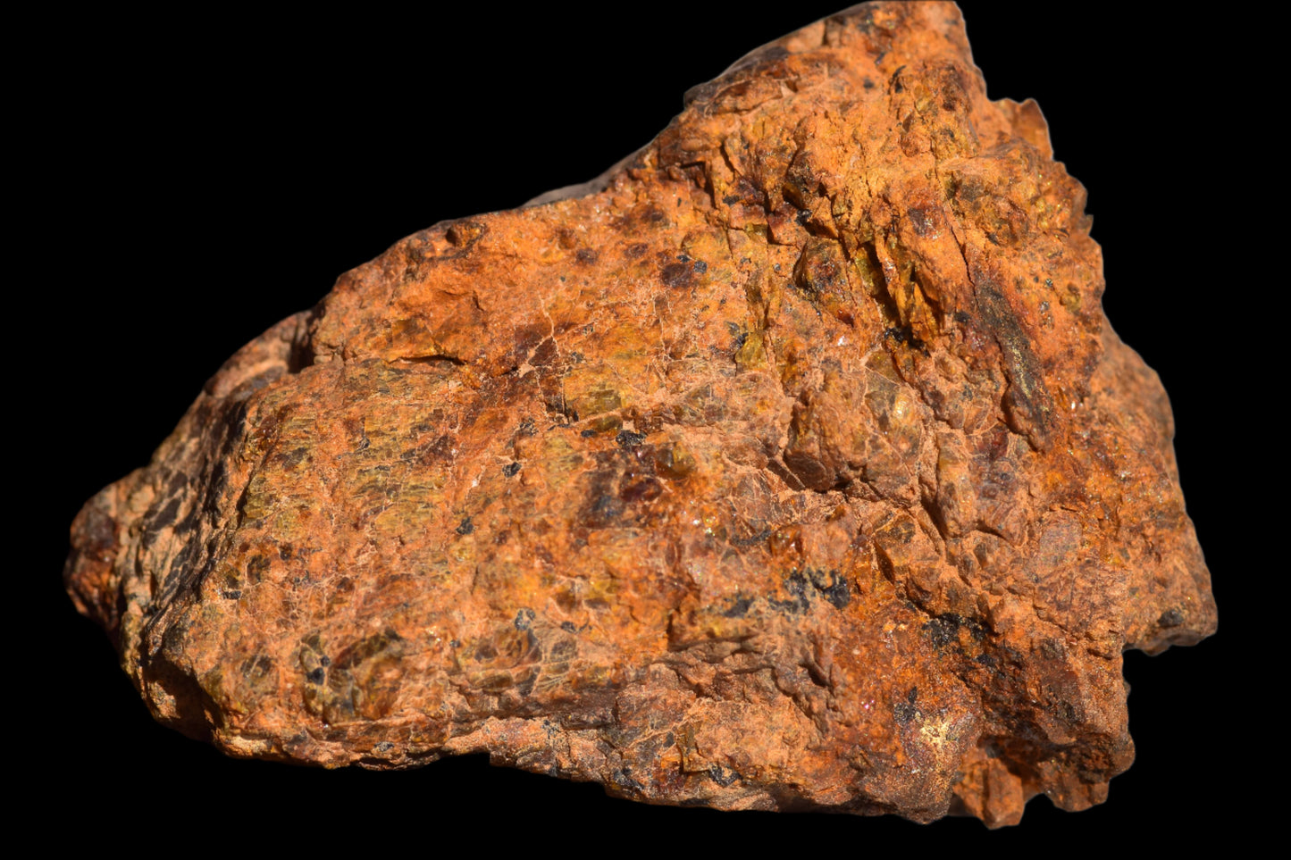 Meteorite for Sale : Diogenite NWA 13692