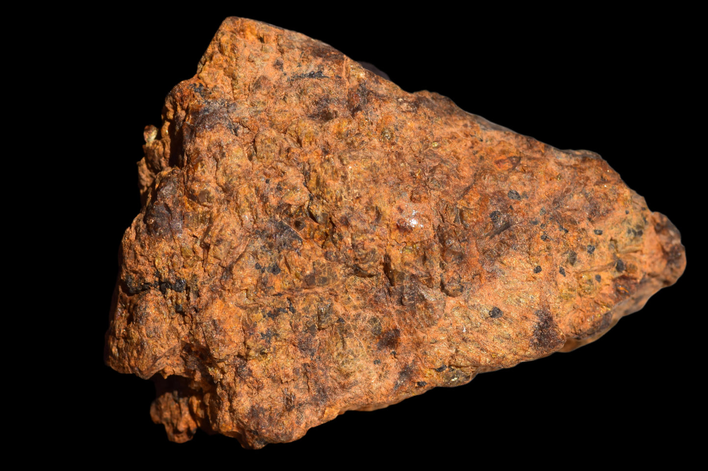 Meteorite for Sale : Diogenite NWA 13692