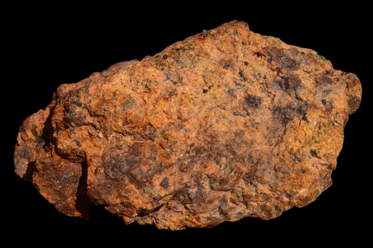 Meteorite for Sale : Diogenite NWA 13692