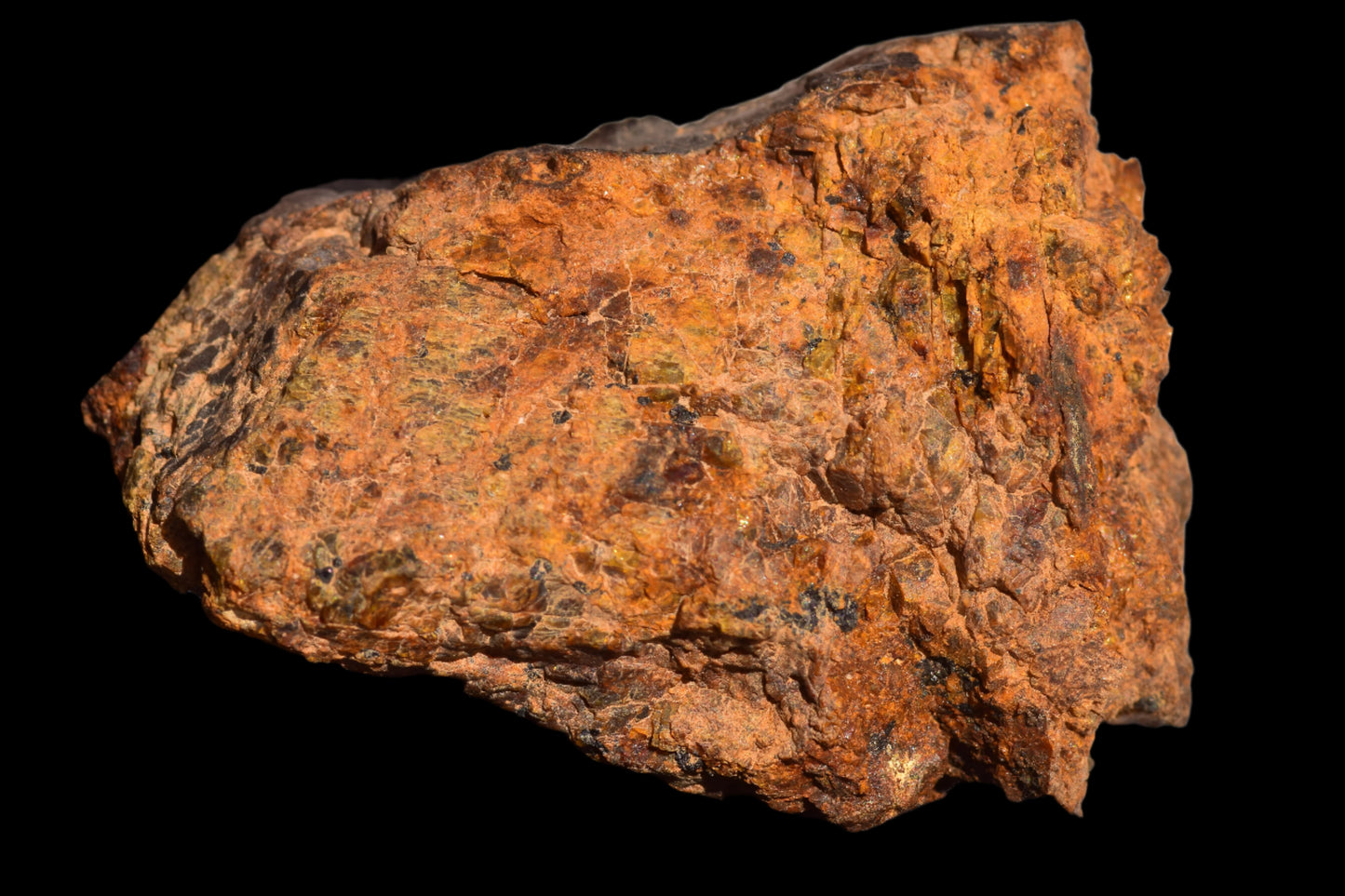 Meteorite for Sale : Diogenite NWA 13692