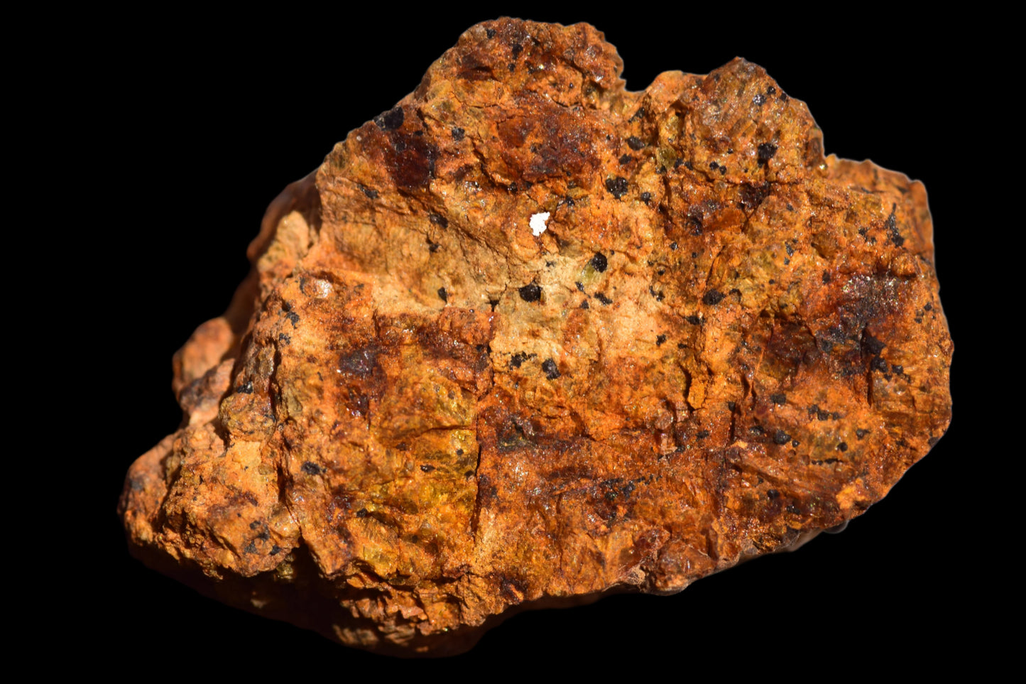 Meteorite for Sale : Diogenite NWA 13692