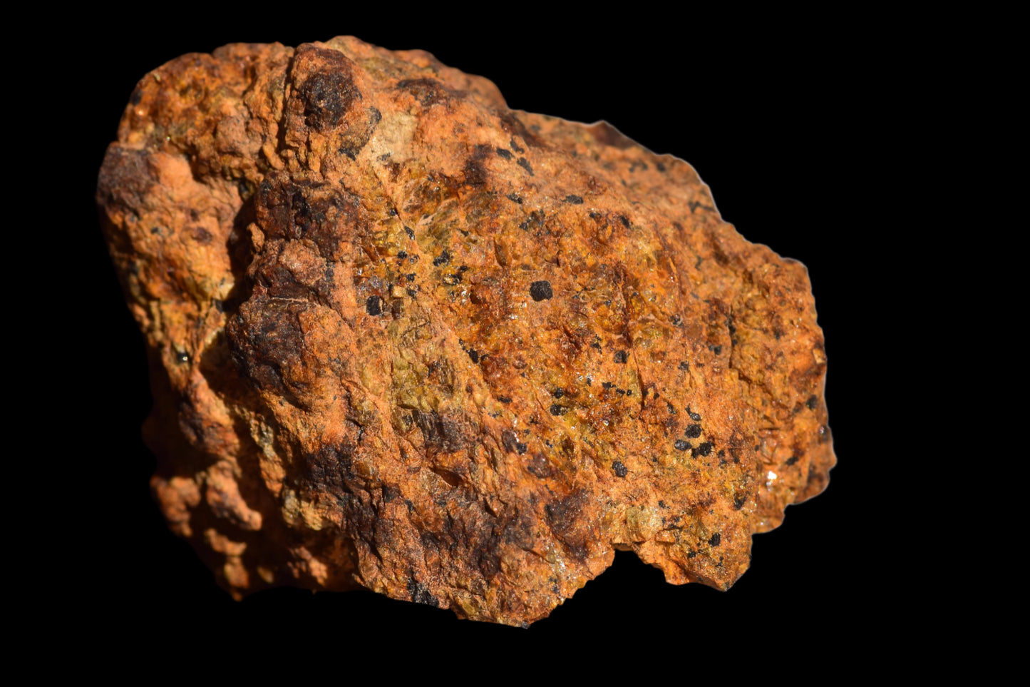 Meteorite for Sale : Diogenite NWA 13692