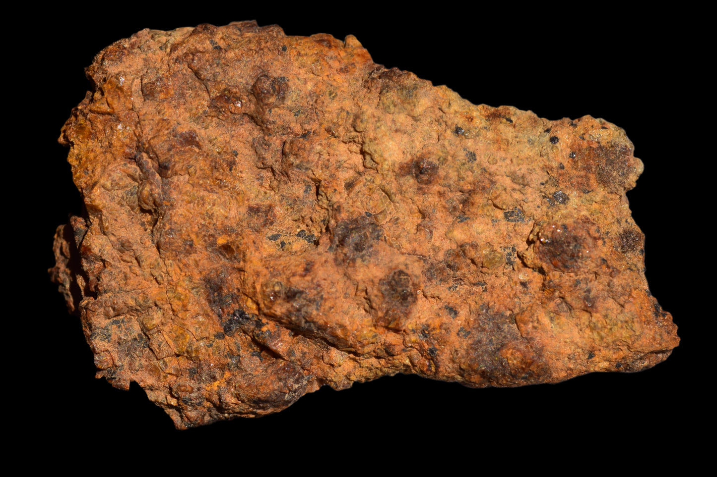 Meteorite for Sale : Diogenite NWA 13692