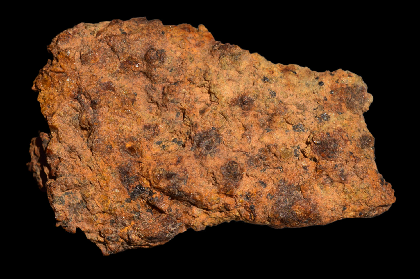 Meteorite for Sale : Diogenite NWA 13692
