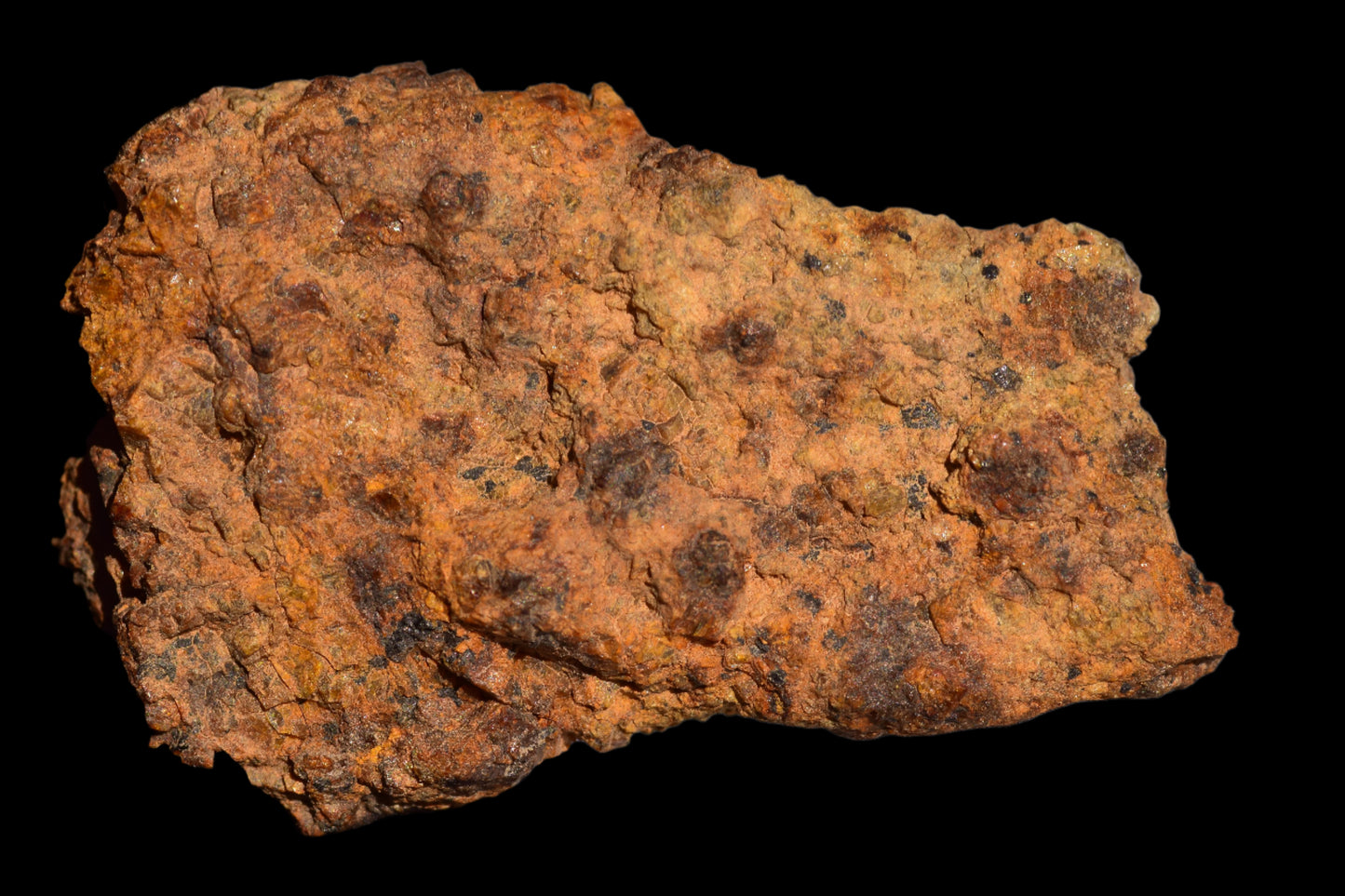 Meteorite for Sale : Diogenite NWA 13692