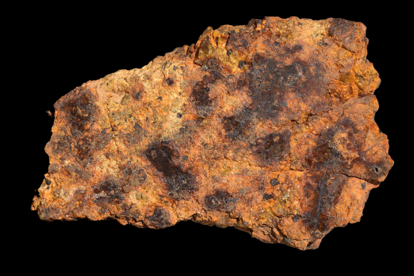 Meteorite for Sale : Diogenite NWA 13692