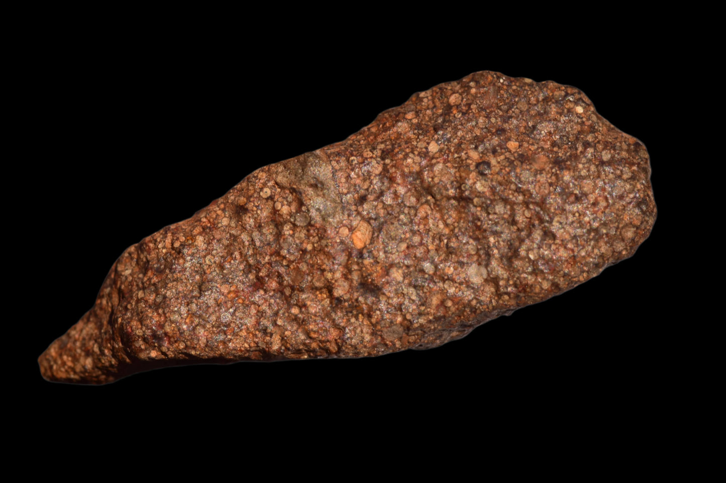 METEORITE FOR SALE L3 NWA 12341