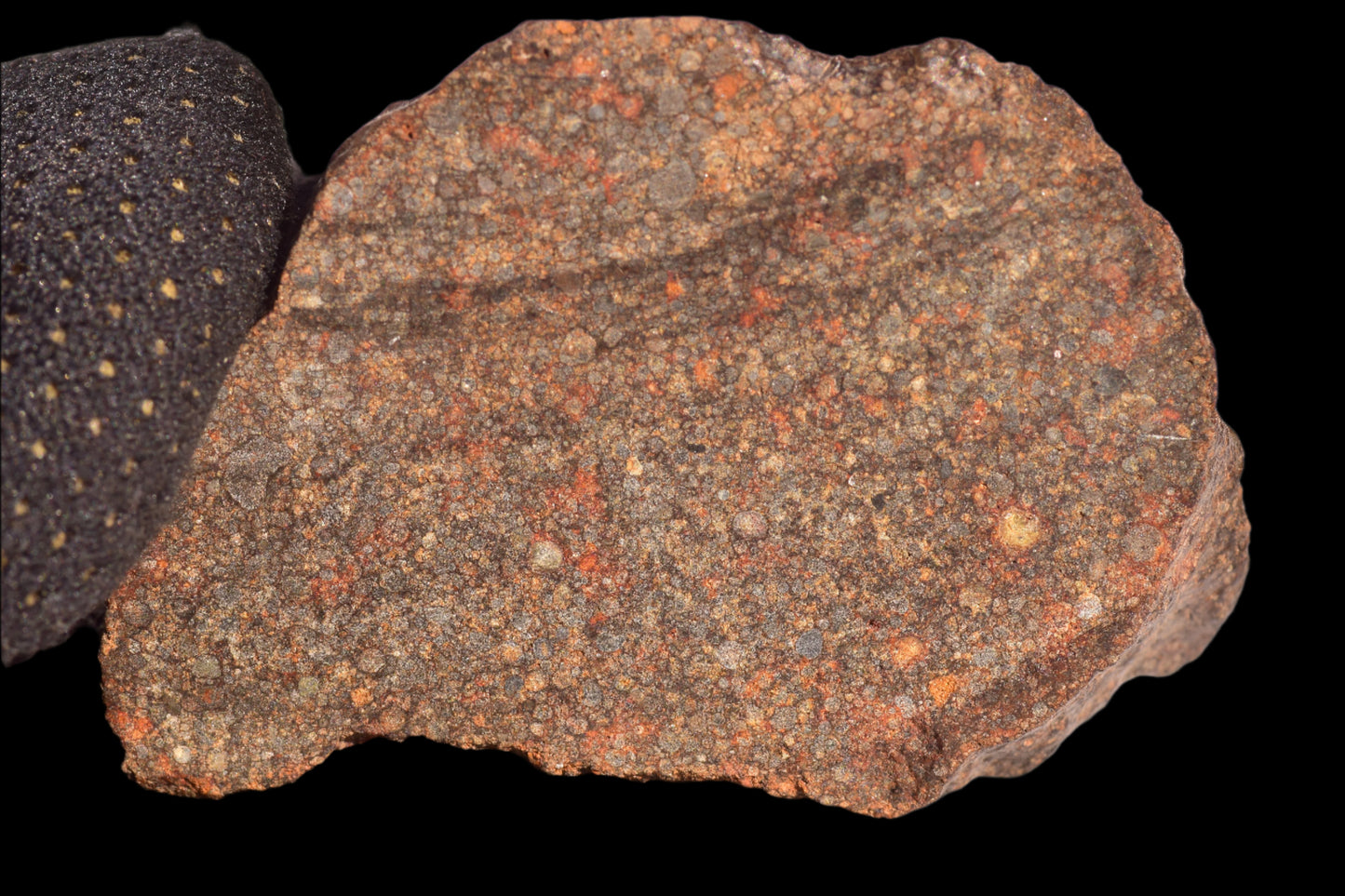 METEORITE FOR SALE L3 NWA 12341