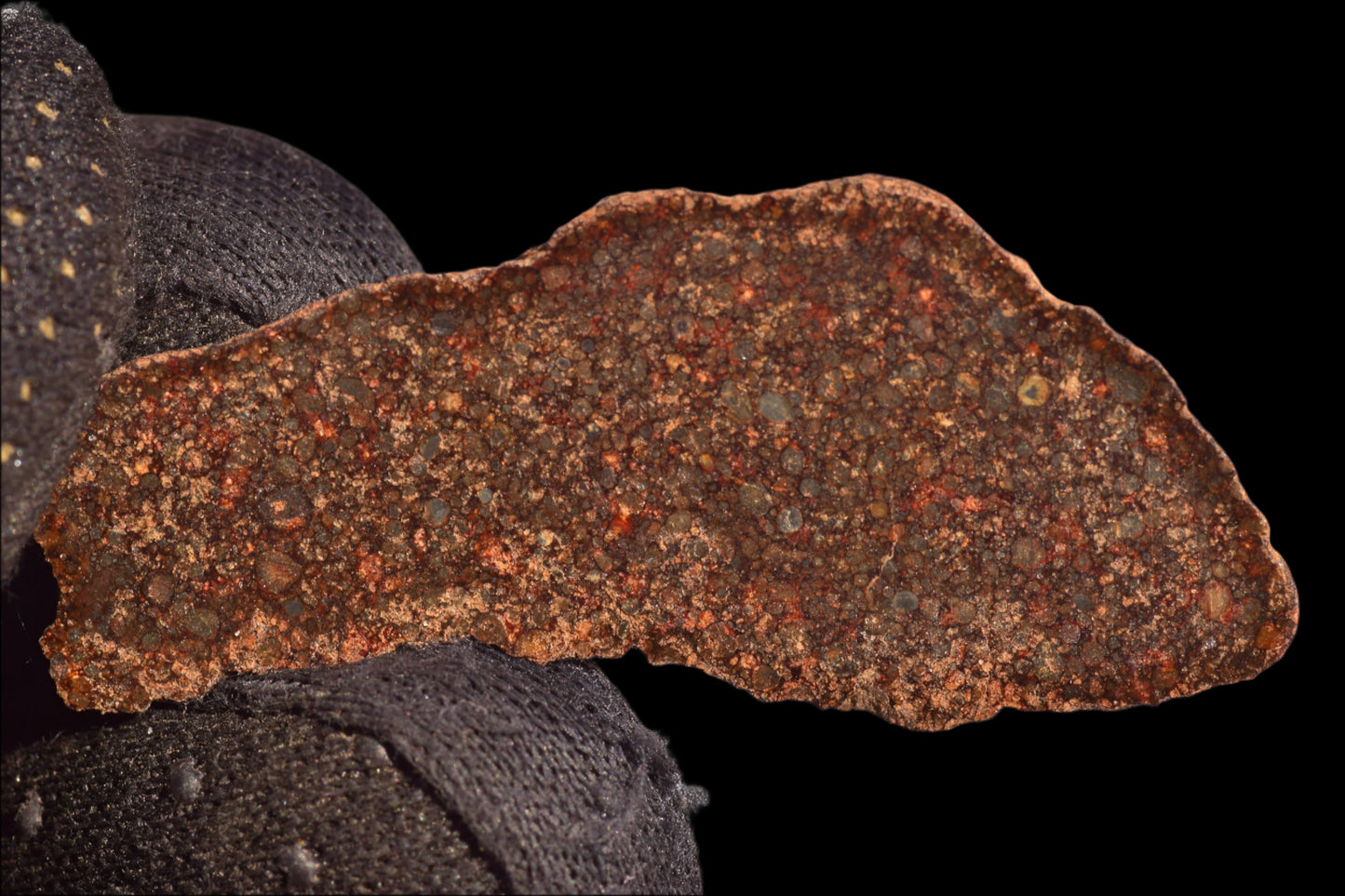 METEORITE FOR SALE L3 CHONDRITE NWA 12341