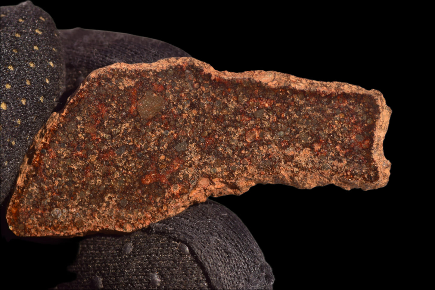 METEORITE FOR SALE L3 CHONDRITE NWA 12341