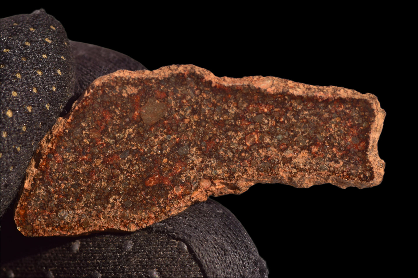 METEORITE FOR SALE L3 CHONDRITE NWA 12341