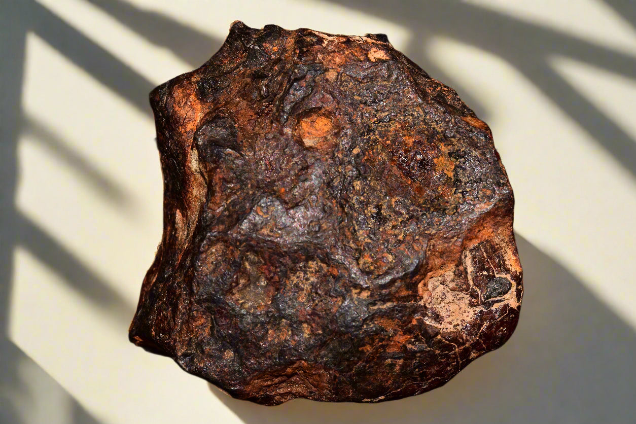 Meteorite Iron Agoudal IIAB full fragment 193 gr Nice Shaped High Quality MeteoriteNwa.com