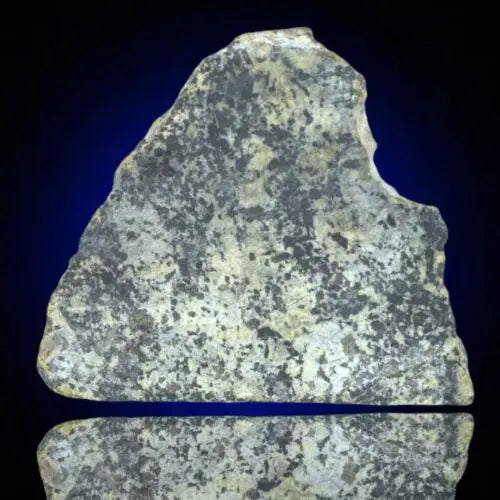 Meteorite Achondrite Martian Shergottite poikilitic NWA 13360 Slice 14.28g W COA MeteoriteNwa.com