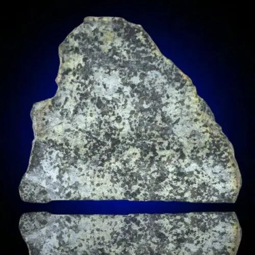 Meteorite Achondrite Martian Shergottite poikilitic NWA 13360 Slice 14.28g W COA MeteoriteNwa.com