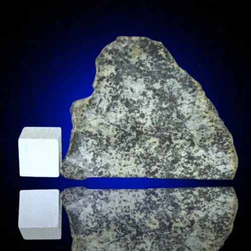 Meteorite Achondrite Martian Shergottite poikilitic NWA 13360 Slice 14.28g W COA MeteoriteNwa.com