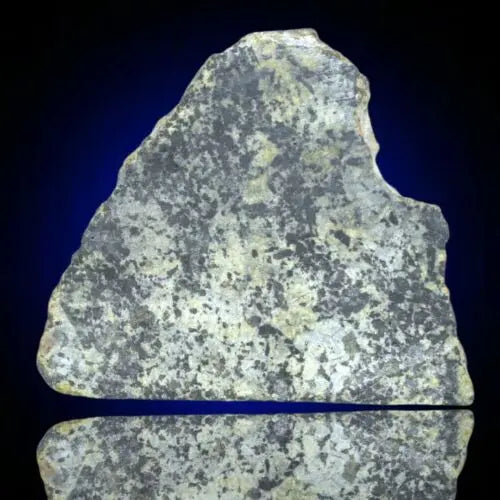 Meteorite Achondrite Martian Shergottite poikilitic NWA 13360 Slice 14.28g W COA MeteoriteNwa.com