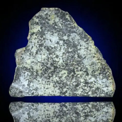 Meteorite Achondrite Martian Shergottite poikilitic NWA 13360 Slice 14.28g W COA MeteoriteNwa.com