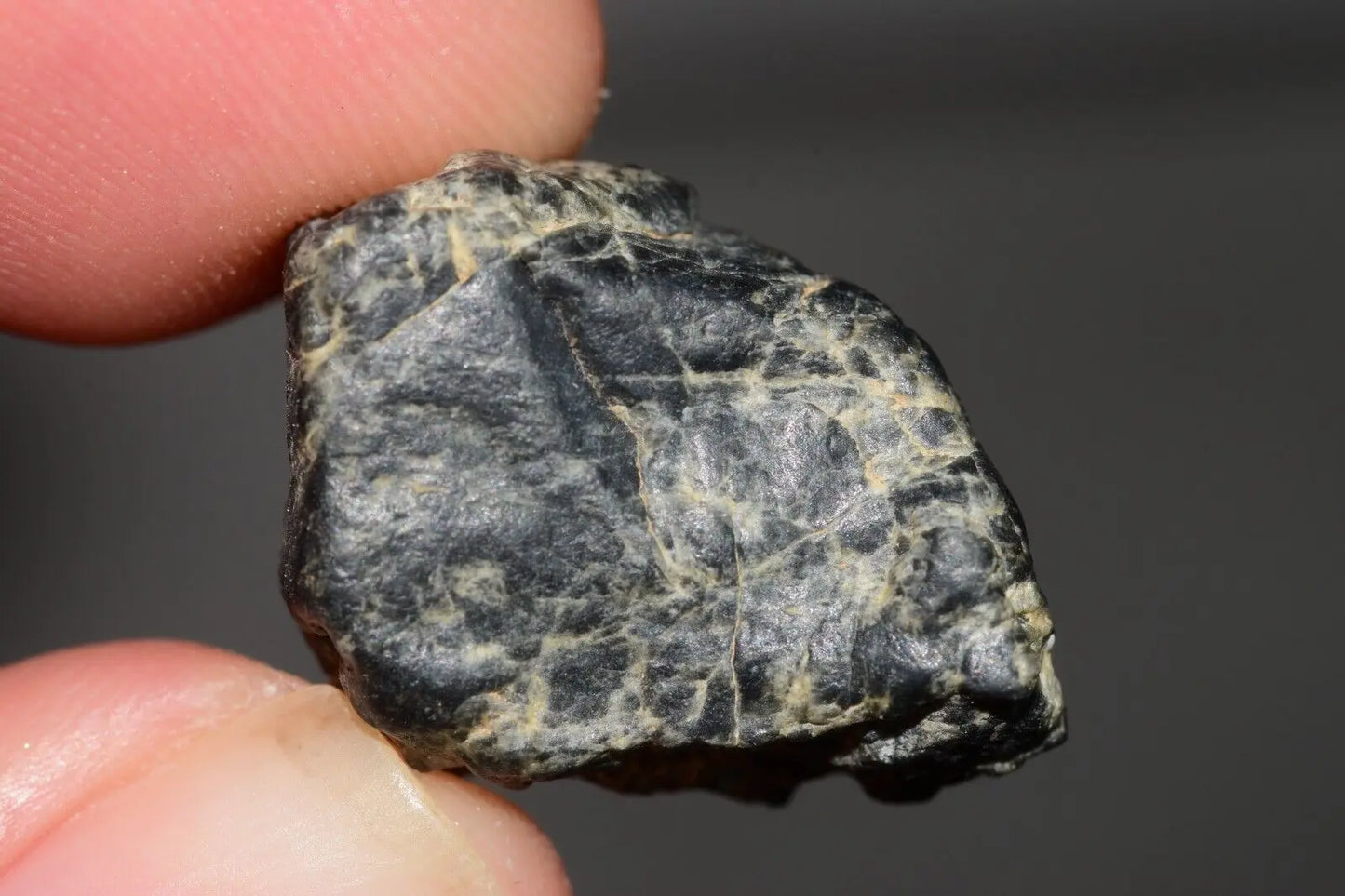Meteorite Eucrite Melt Breccia HED Achondrite NWA 12342 Fragment 5.22g with COA MeteoriteNwa.com