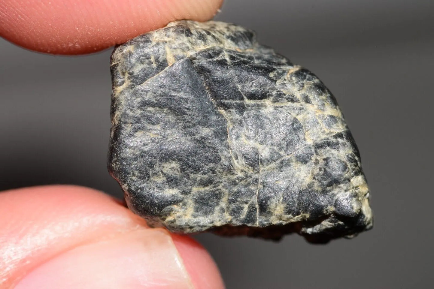 Meteorite Eucrite Melt Breccia HED Achondrite NWA 12342 Fragment 5.22g with COA MeteoriteNwa.com
