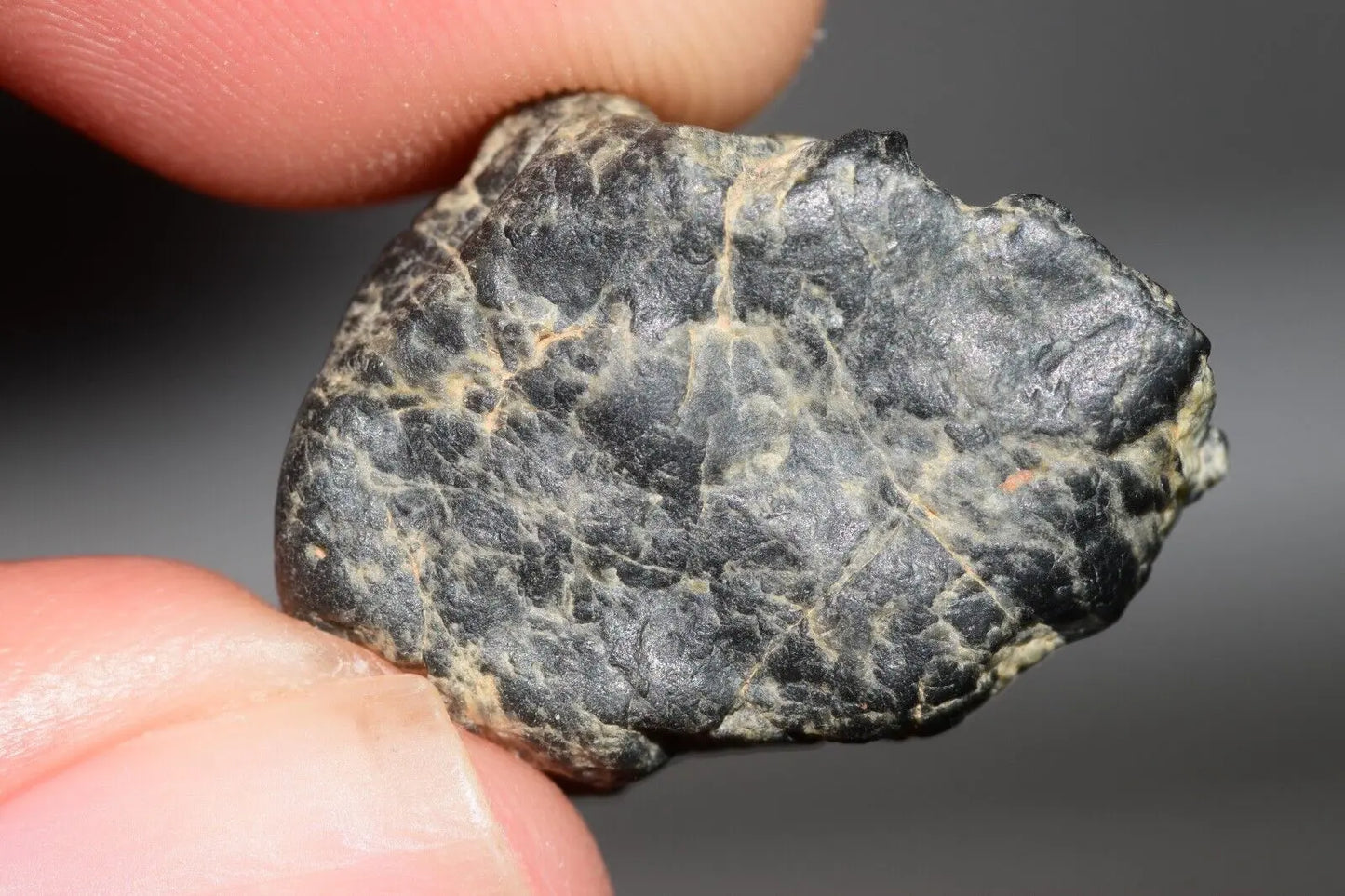 Meteorite Eucrite Melt Breccia HED Achondrite NWA 12342 Fragment 5.22g with COA MeteoriteNwa.com