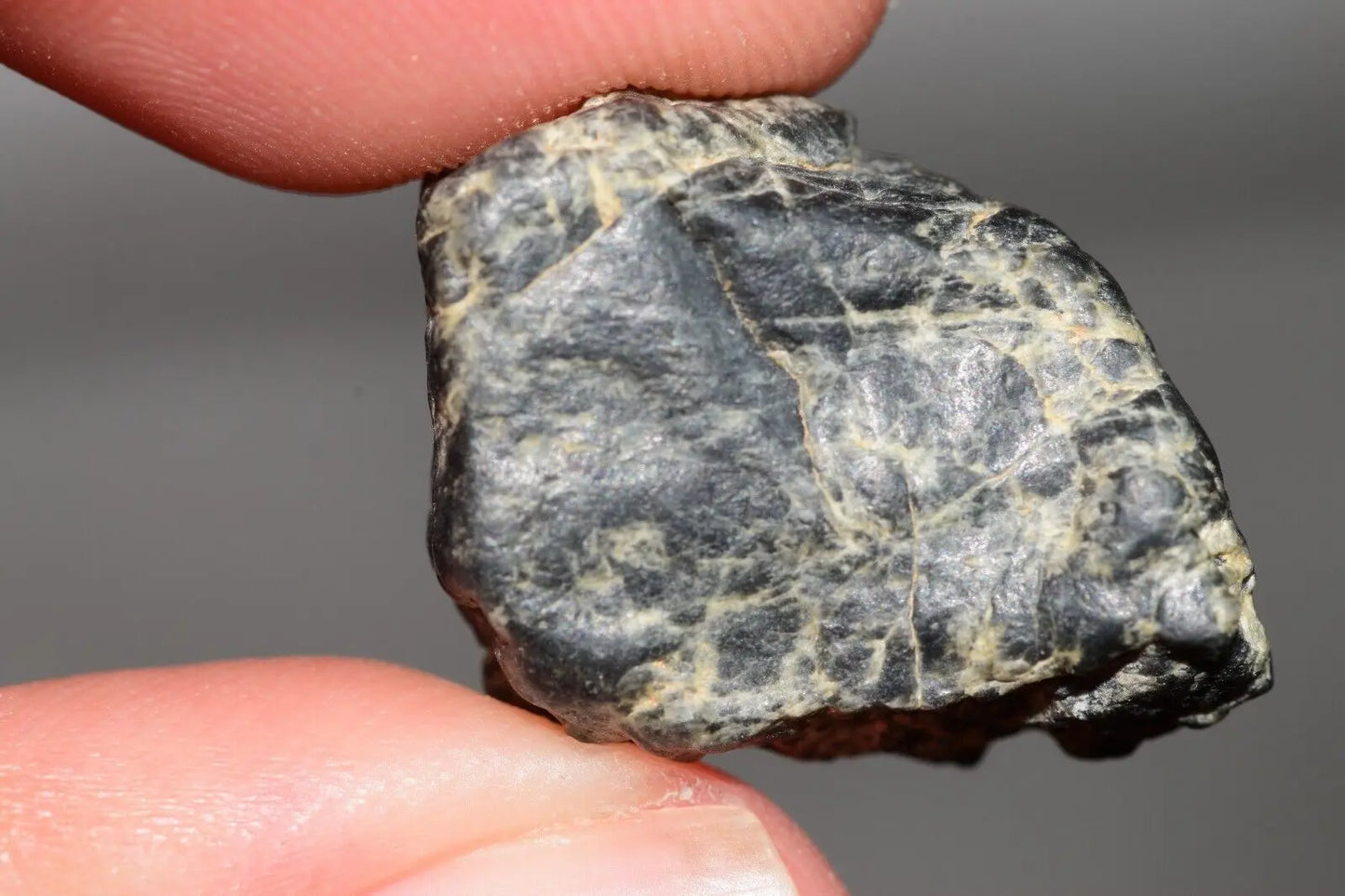 Meteorite Eucrite Melt Breccia HED Achondrite NWA 12342 Fragment 5.22g with COA MeteoriteNwa.com