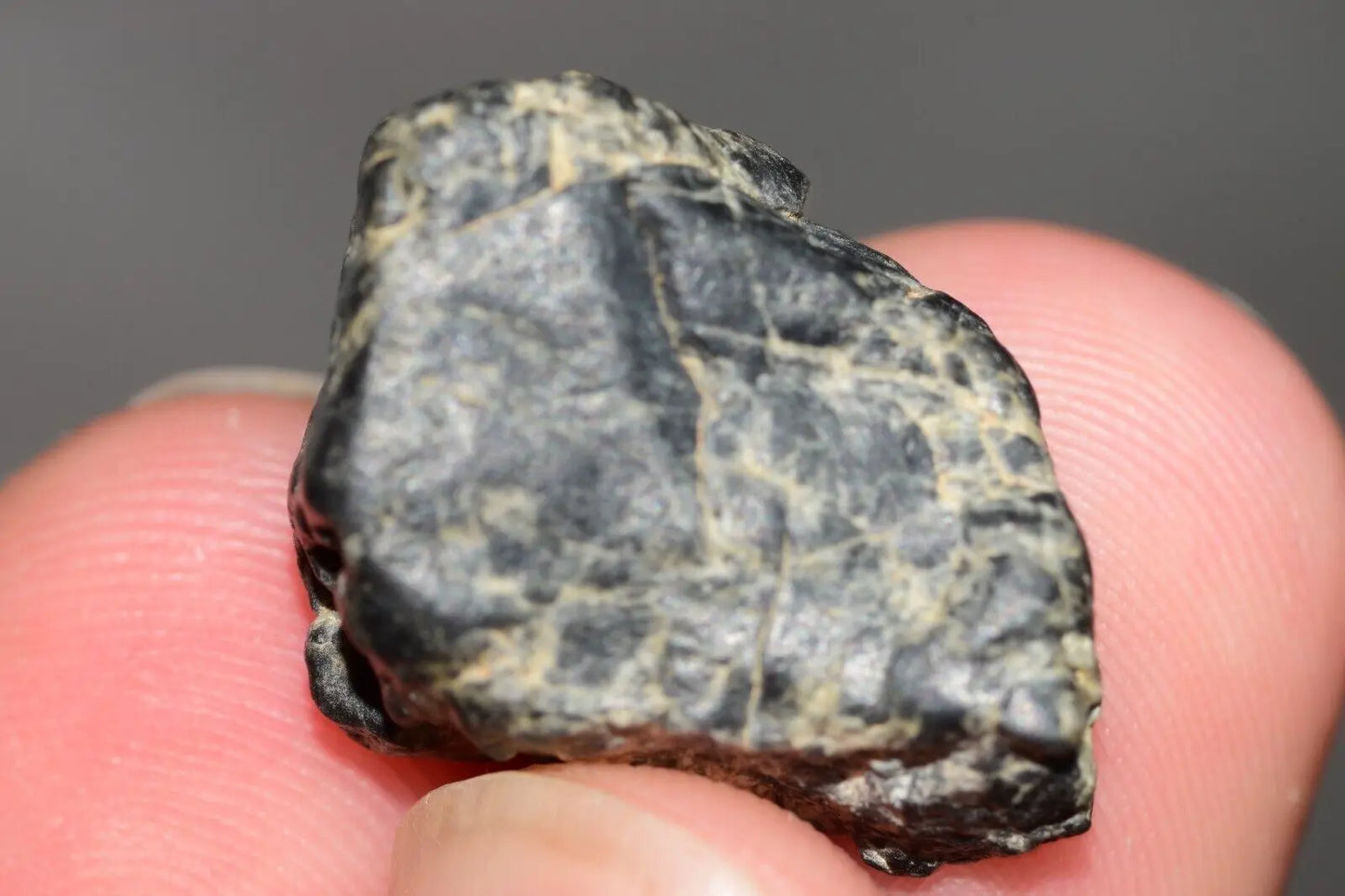 Meteorite Eucrite Melt Breccia HED Achondrite NWA 12342 Fragment 5.22g with COA MeteoriteNwa.com