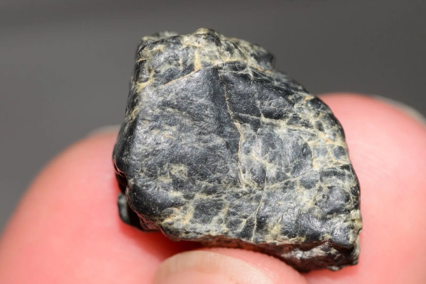 Meteorite Eucrite Melt Breccia HED Achondrite NWA 12342 Fragment 5.22g with COA MeteoriteNwa.com