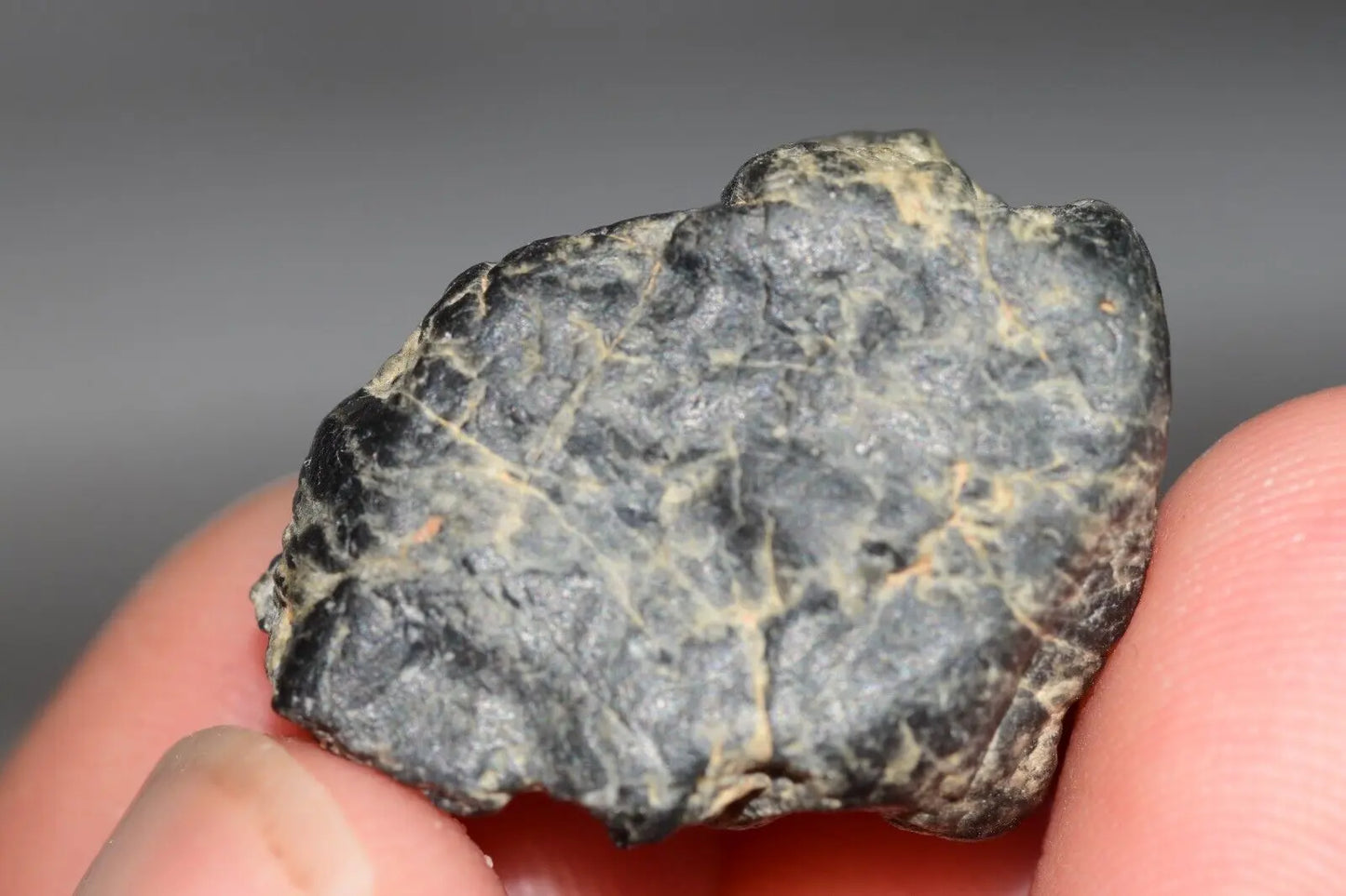Meteorite Eucrite Melt Breccia HED Achondrite NWA 12342 Fragment 5.22g with COA MeteoriteNwa.com