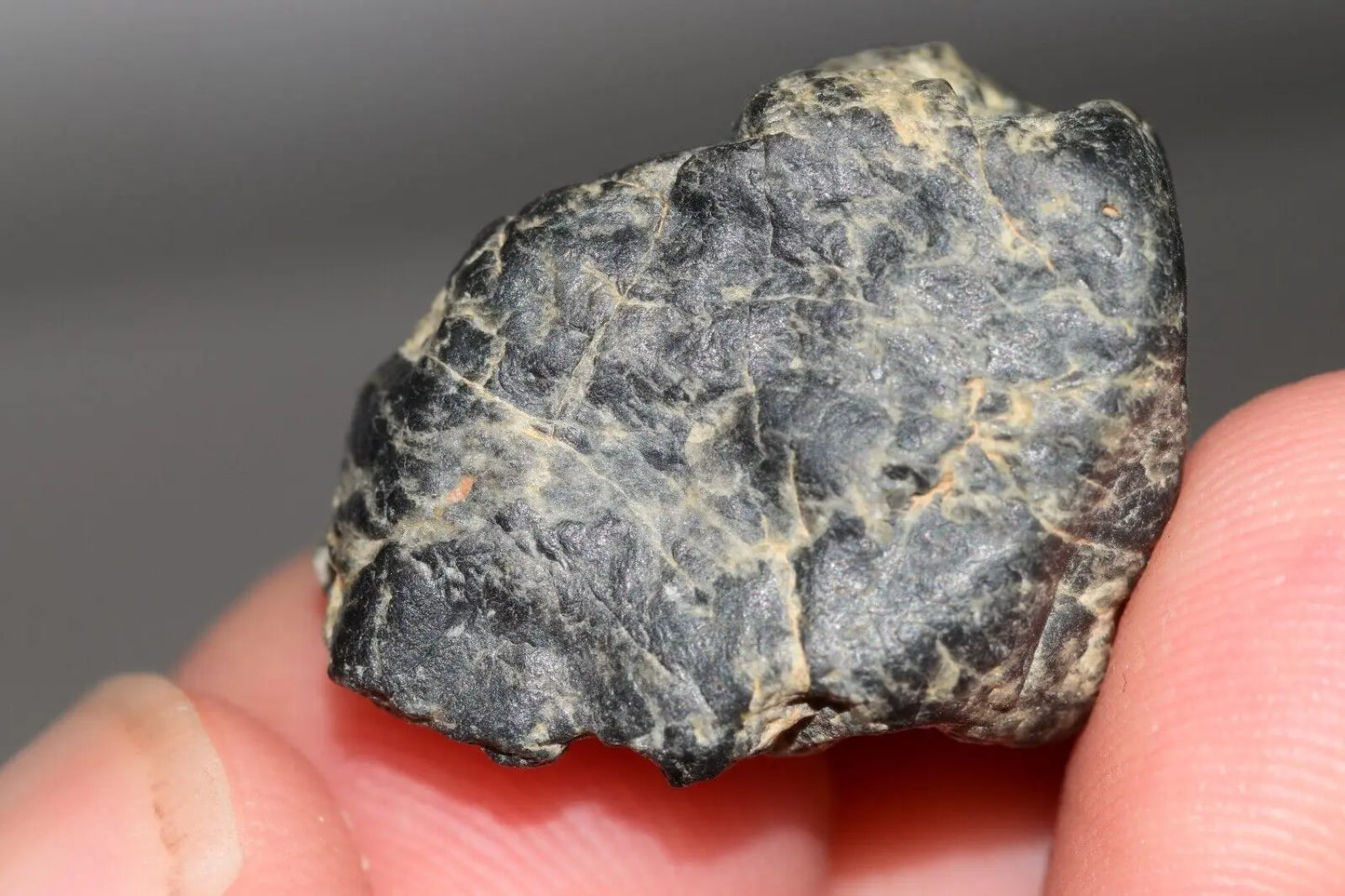 Meteorite Eucrite Melt Breccia HED Achondrite NWA 12342 Fragment 5.22g with COA MeteoriteNwa.com