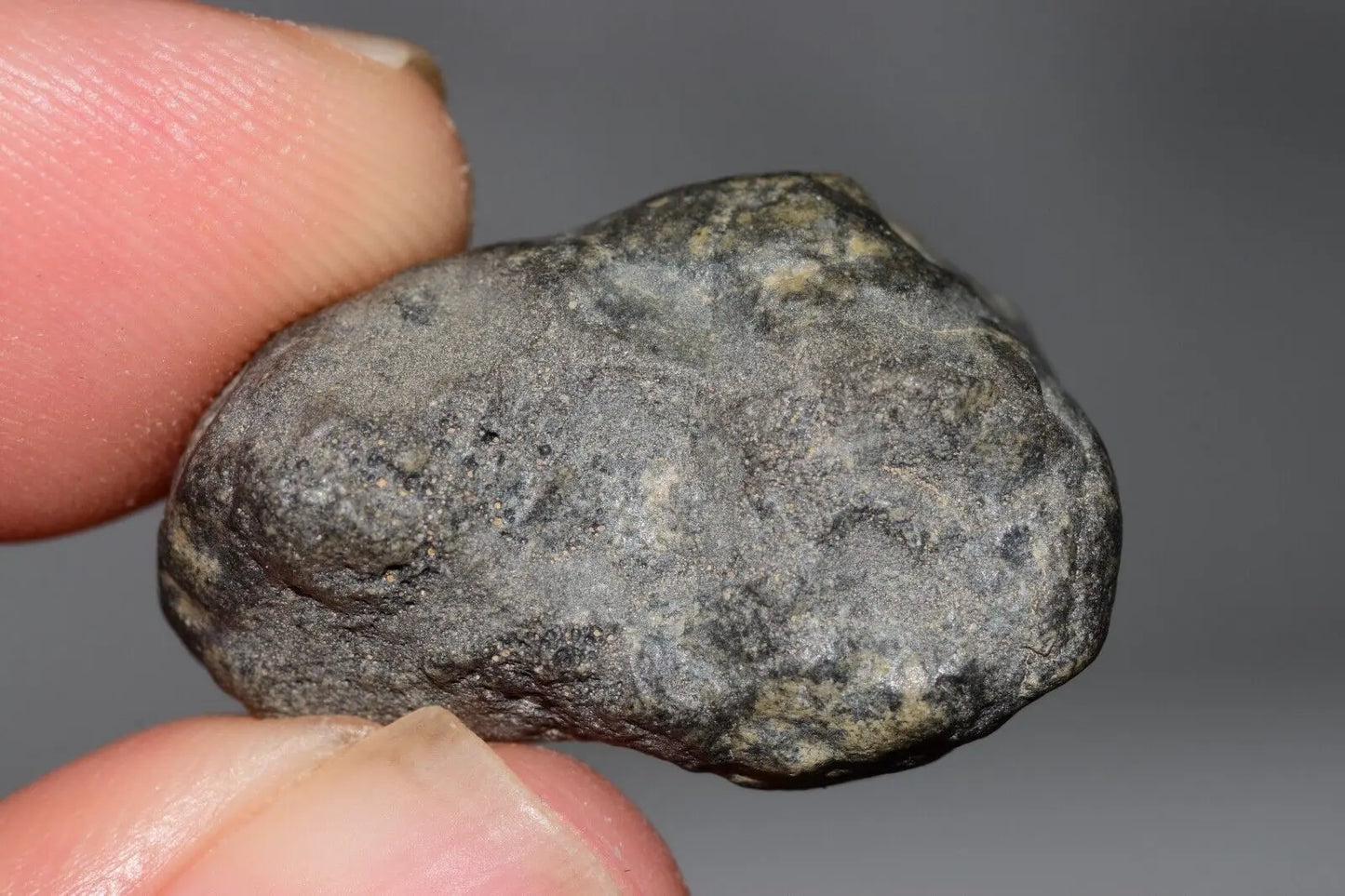 Meteorite Eucrite Melt Breccia HED Achondrite NWA 12342 Fragment 8.20g with COA MeteoriteNwa.com