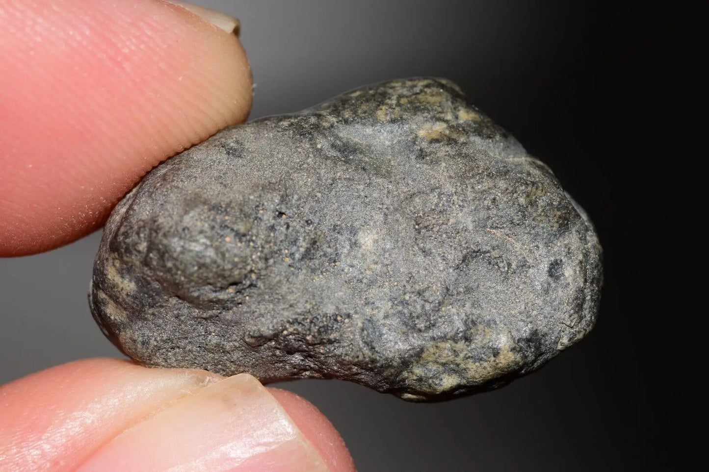 Meteorite Eucrite Melt Breccia HED Achondrite NWA 12342 Fragment 8.20g with COA MeteoriteNwa.com