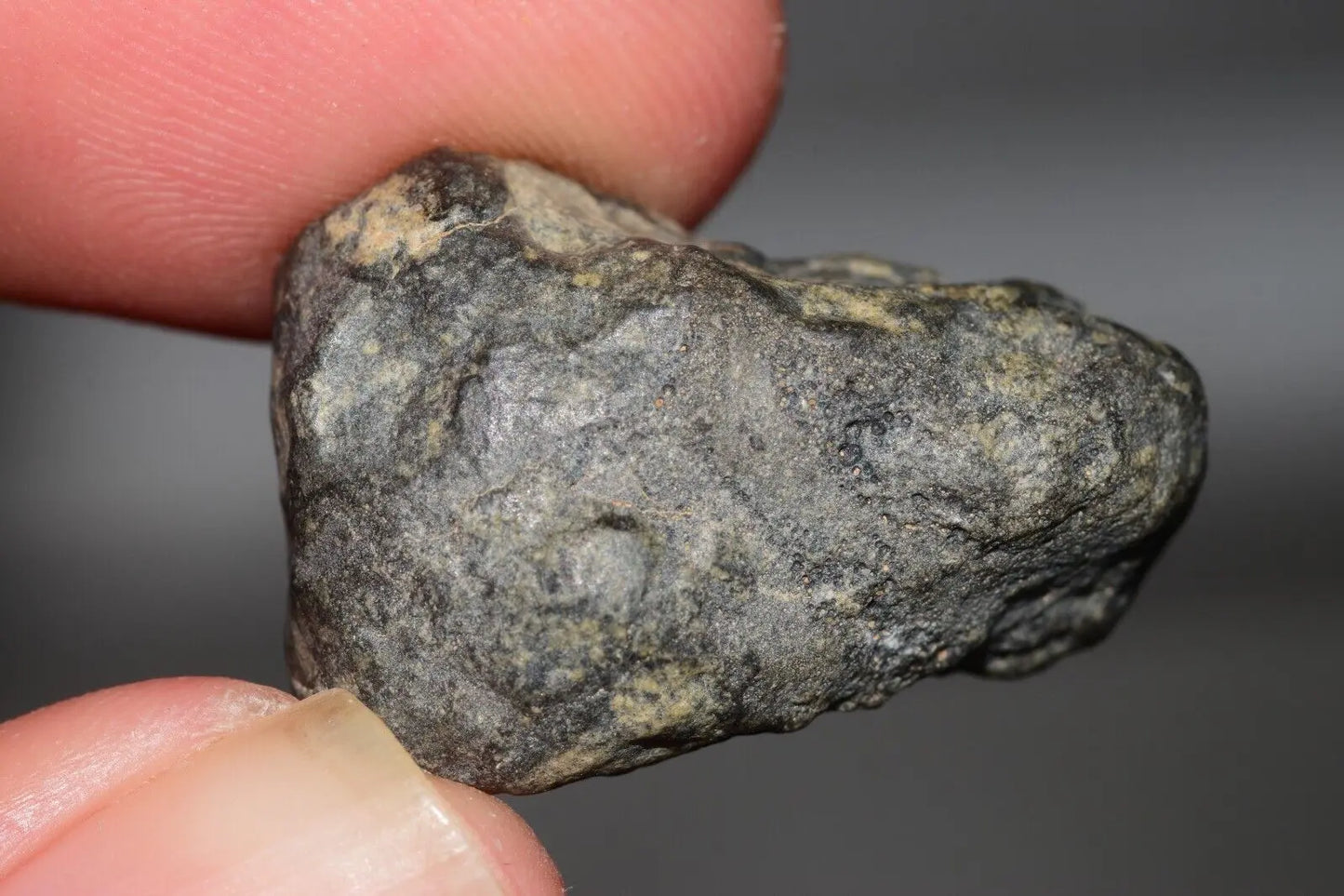 Meteorite Eucrite Melt Breccia HED Achondrite NWA 12342 Fragment 8.20g with COA MeteoriteNwa.com
