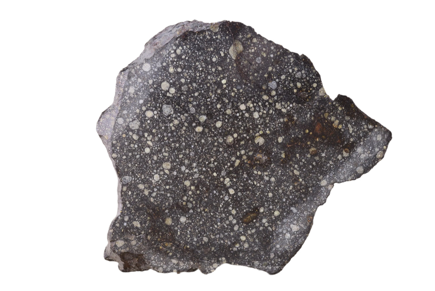 Meteorite Chondrite NWA 12858 R3