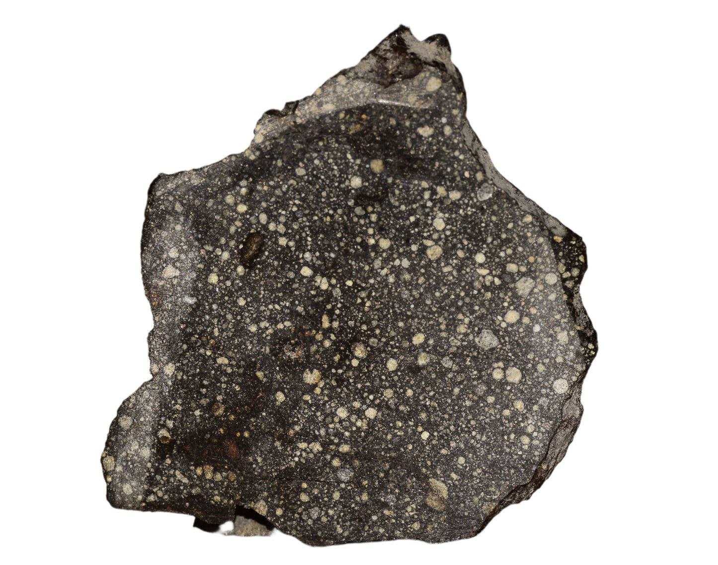 RUMURUTI Meteorite Chondrite NWA 12858 R3 19.3 G SLICE MeteoriteNwa.com