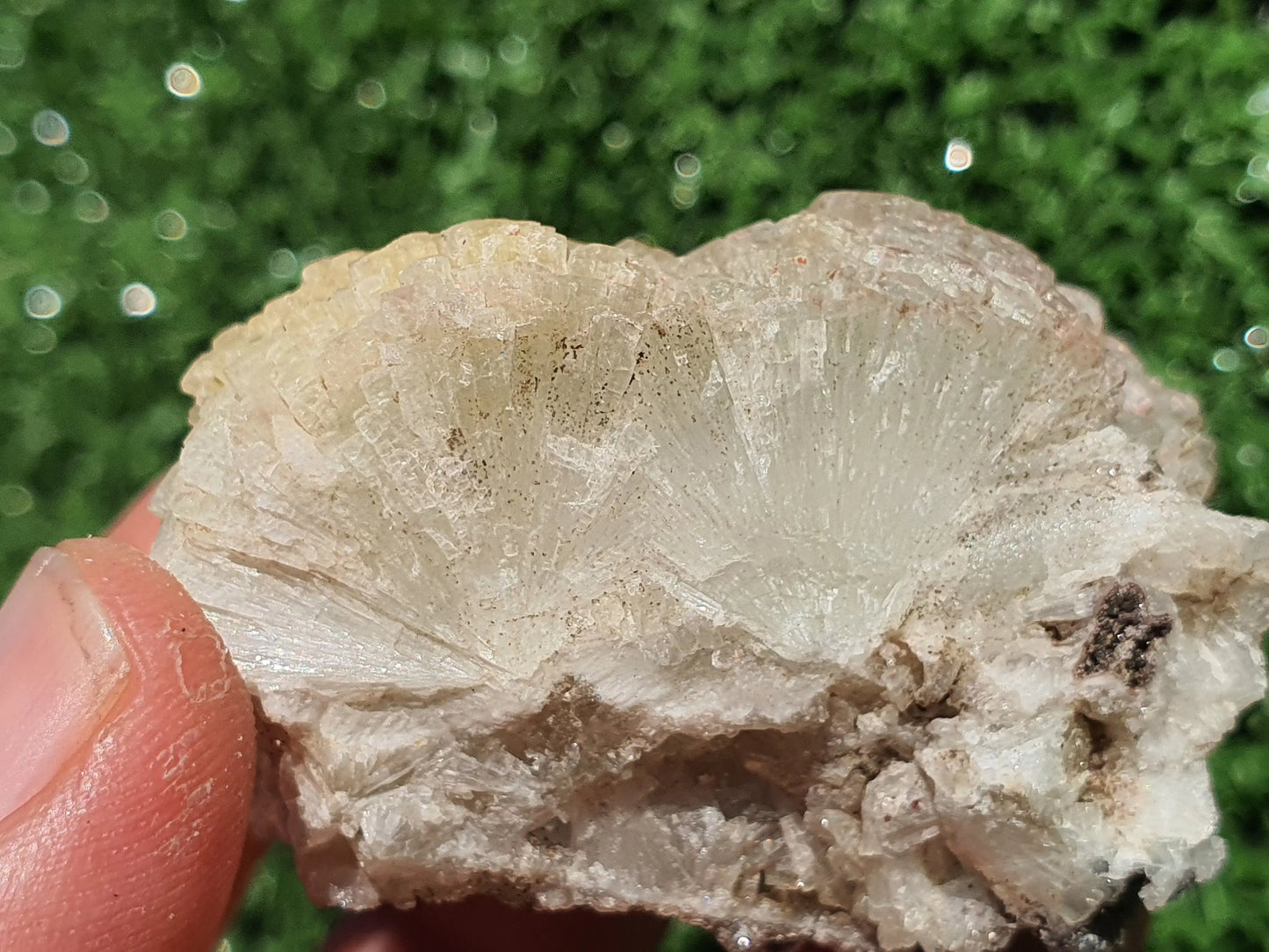 Prehnite crystals with Quartz Imilchil Morocco - MeteoriteNwa.com