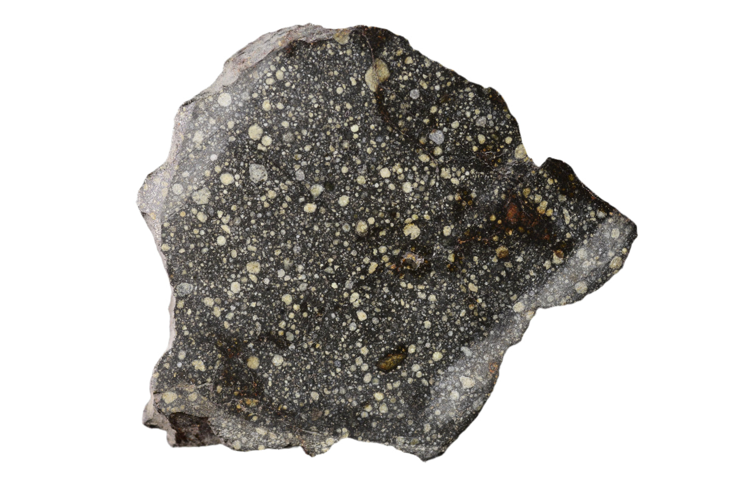 RUMURUTI Meteorite Chondrite NWA 12858 R3 19.3 G SLICE MeteoriteNwa.com